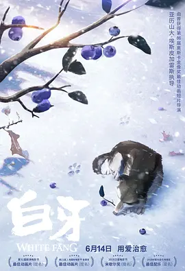 法国空姐不雅空乘